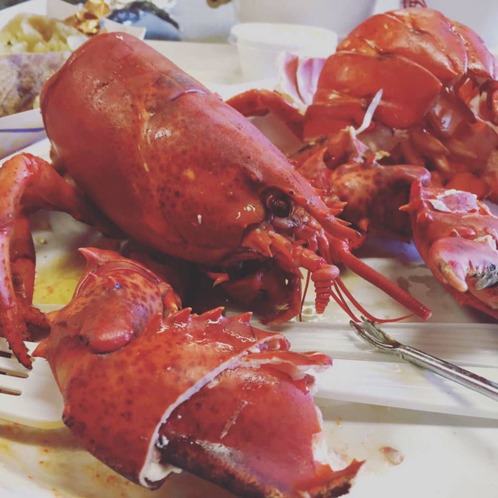 Meet your Posher, Dawn